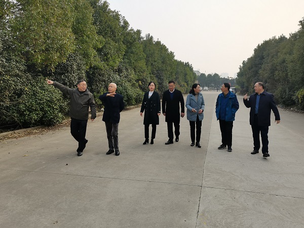 ��ʱK66��(�й�)���Źٷ���վ