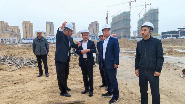 ���ɵ������Ŀ��˾��չ������������